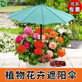側立傘戶外遮陽 塑膠制品的應用與優勢